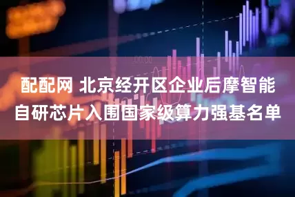 配配网 北京经开区企业后摩智能自研芯片入围国家级算力强基名单