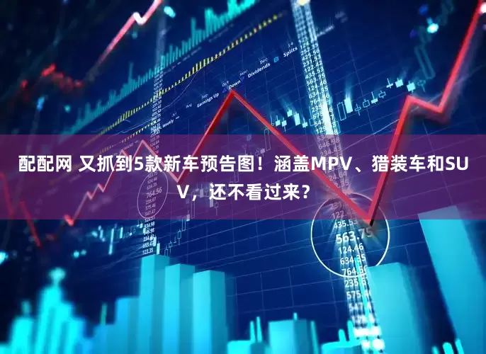 配配网 又抓到5款新车预告图！涵盖MPV、猎装车和SUV，还不看过来？